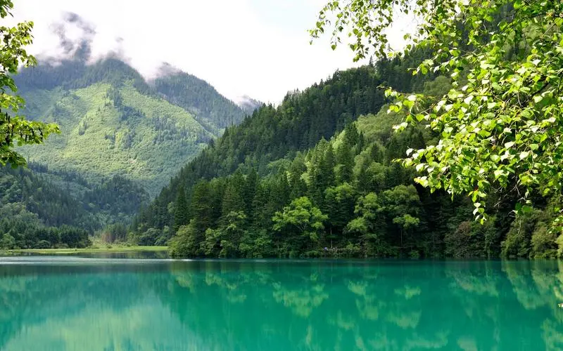 环保绿色